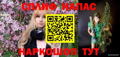 шишки Лесосибирск
