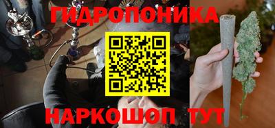 шишки Лесосибирск
